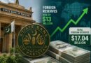 Sbps Foreign Reserves Rise By 13 Million To 17 04 Billion
