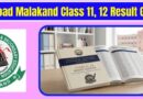 Bise Malakand Inter Gazette 2026 Class 11 12 Download
