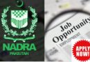 Nadra Jobs 2026 Full Guide To Vacancies Eligibility And Online Application