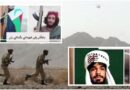 Over Dozen Bla Militants Killed In Fierce Clash With Iranian Border Forces