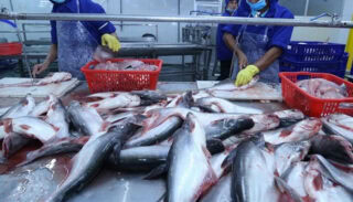 Pakistans Seafood Exports Surge 38 To 568 Million In Two Years
