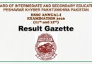 Peshawar Board Inter Class 11 12 Gazette Download Pdf