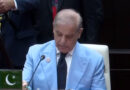 Pm Shehbaz Calls For Water To Remain Outside Politics Urges Peaceful Regional Cooperation