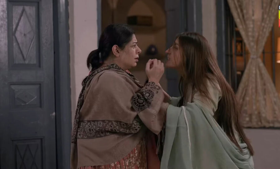 Review From Social Media Stars To Serious Drama Dananeer And Shahveer Take On Hurmat 