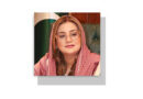 Apni Chhat Apna Ghar Maryam Nawaz Makes History With Global Recognition