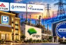 Bestway Cement Engro Turkish Firms Among 10 Investors Shortlisted For Iesco Privatisation