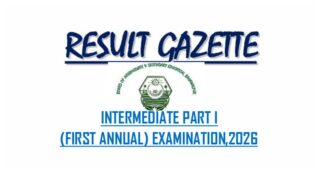 BISE Bahawalpur class 11 results 2026 gazette – PDF Download