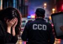 Ccd Officer Booked For Raping Lahore Woman Seeking Help Over Missing Phone