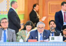 Dar Stresses Promoting Use Of National Currencies To Help Offset Economic Shocks