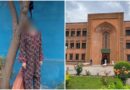 Islamabads Islamic University Student Laiba Commits Suicide Amid Rs50lac Us Travel Scam