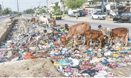 Karachi A City Of Crime Or Resilience 