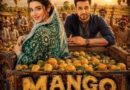 Mango Jutt Faysal Qureishi And Hareem Farooq Bring Romance Action And Punjabi Flavour To The Big Screen
