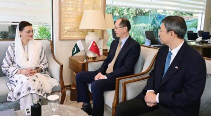 Marriyum Chinese Diplomat Discuss Ways To Boost Pak China Ties