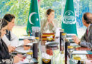 Maryam Approves To Set Up Phas In All Districts Of Punjab