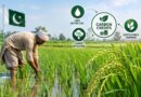 Pakistan Eyes Carbon Credits For Sustainable Rice Farming