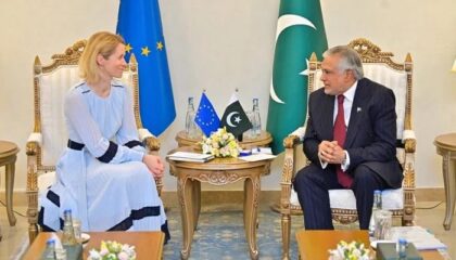 Pakistan To Seek Fresh Eu Gsp Status From 2027