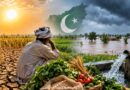 Pakistans Food Security Faces Growing Climate Water Challenges