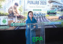 Punjab Govt Implementing Integrated Strategy To Combat Air Pollution Marriyum