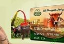 Punjab Launches Phase Ii Of Livestock Card Scheme Following Success Of Phase I