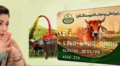 Punjab Launches Phase Ii Of Livestock Card Scheme Following Success Of Phase I