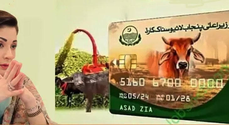 Punjab Launches Phase Ii Of Livestock Card Scheme Following Success Of Phase I