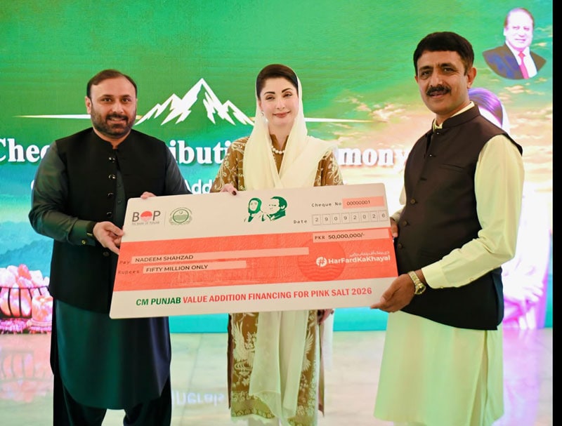 Punjab Launches Rs5b Interest Free Scheme For Value Added Pink Salt Products