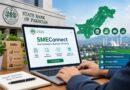 Sbp Launches Digital Portal For Sme Financing Across Pakistan