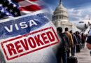 Us Visa Update Over 300000 Visas Revoked Under New Us Immigration Rules